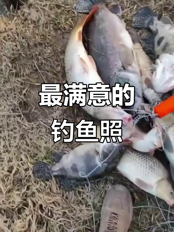 钓鱼照片大赏,顺财神祝福满满