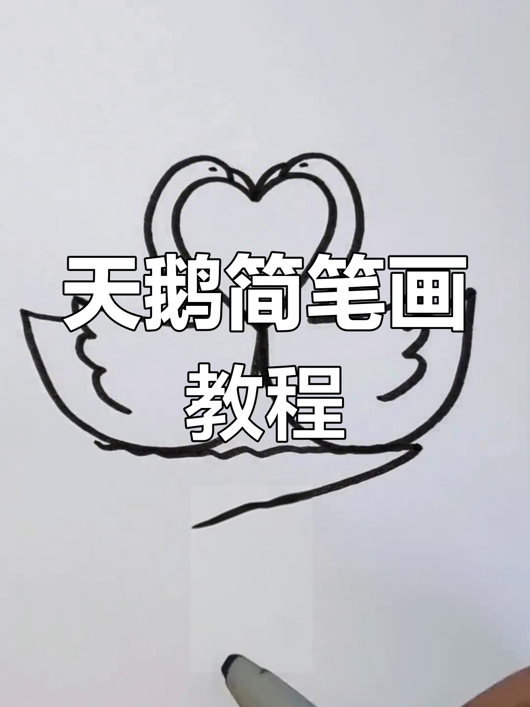 轻松画出可爱天鹅，步骤简单又有趣