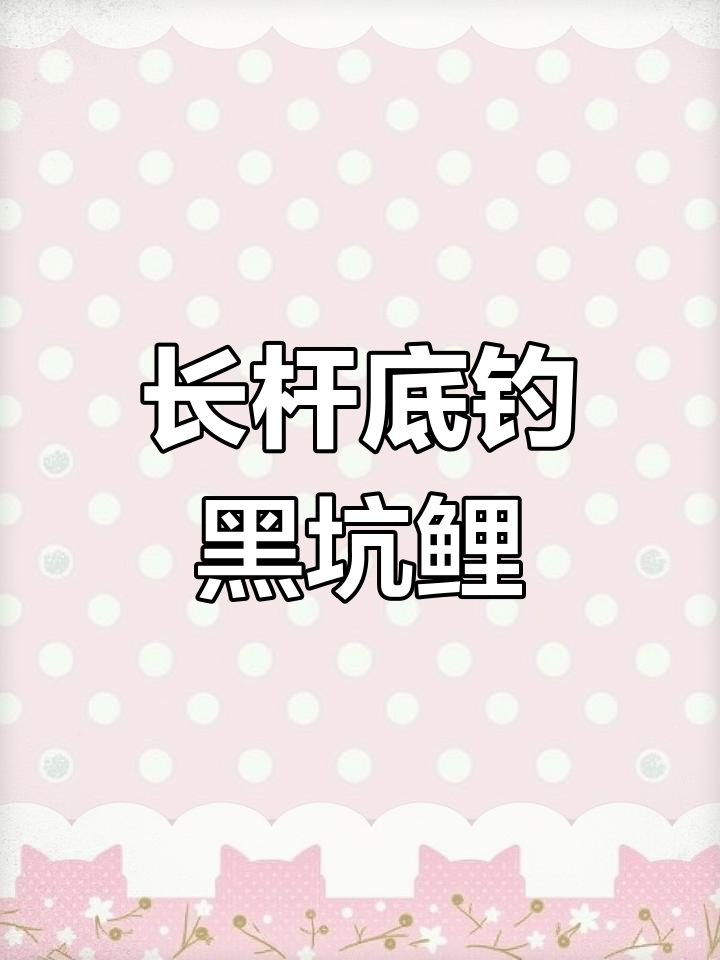 羽言HK09长杆底钓黑坑鲤鱼,湖库钓鱼技巧大揭秘