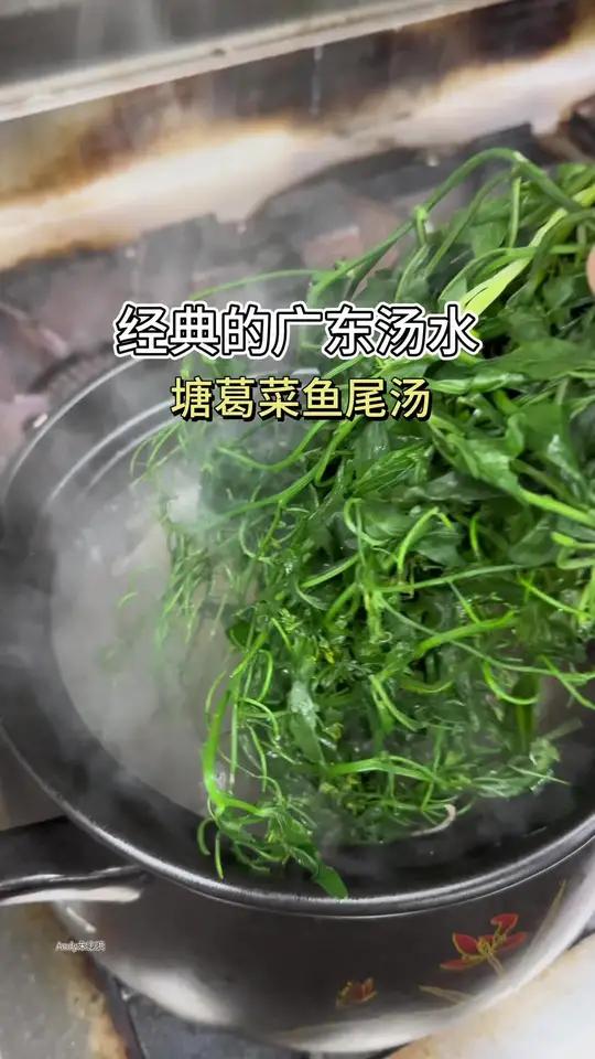 塘葛菜猪骨煲鱼尾!经典的广东汤水,你们有喝过吗#那些尝一口就忘不掉的特色美食煲汤
