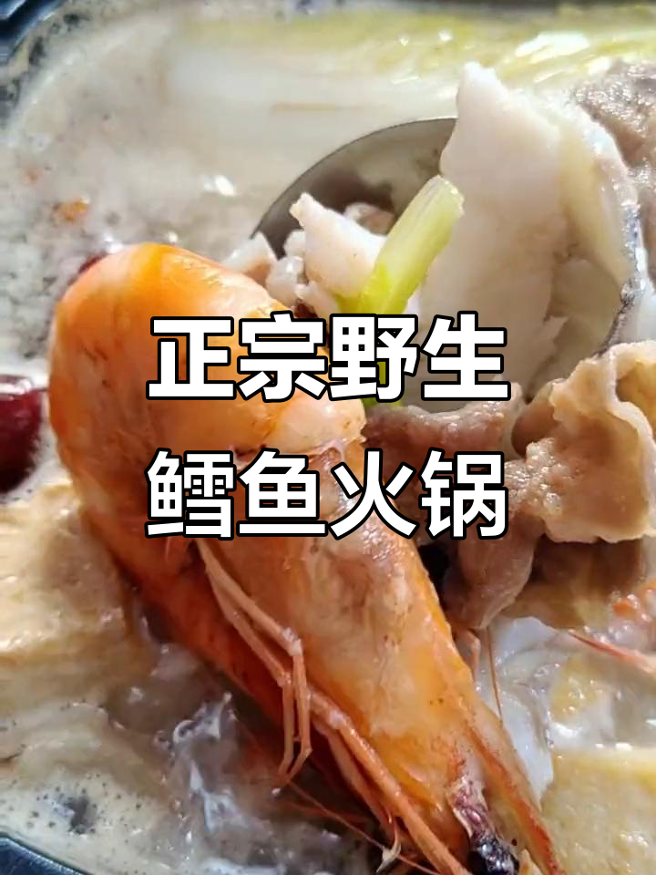 野生鳕鱼火锅,鲜嫩无腥味,肉质细腻让人惊艳