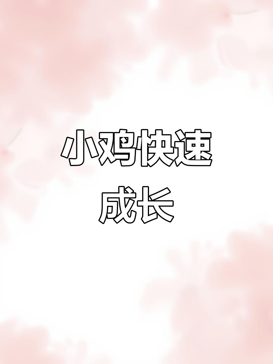 两个月小鸡已长两斤,放鸽子的朋友现在肯定后悔了!