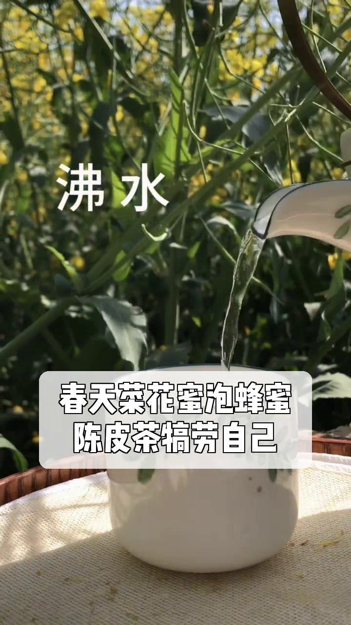 春天菜花蜜泡蜂蜜,陈皮茶犒劳自己