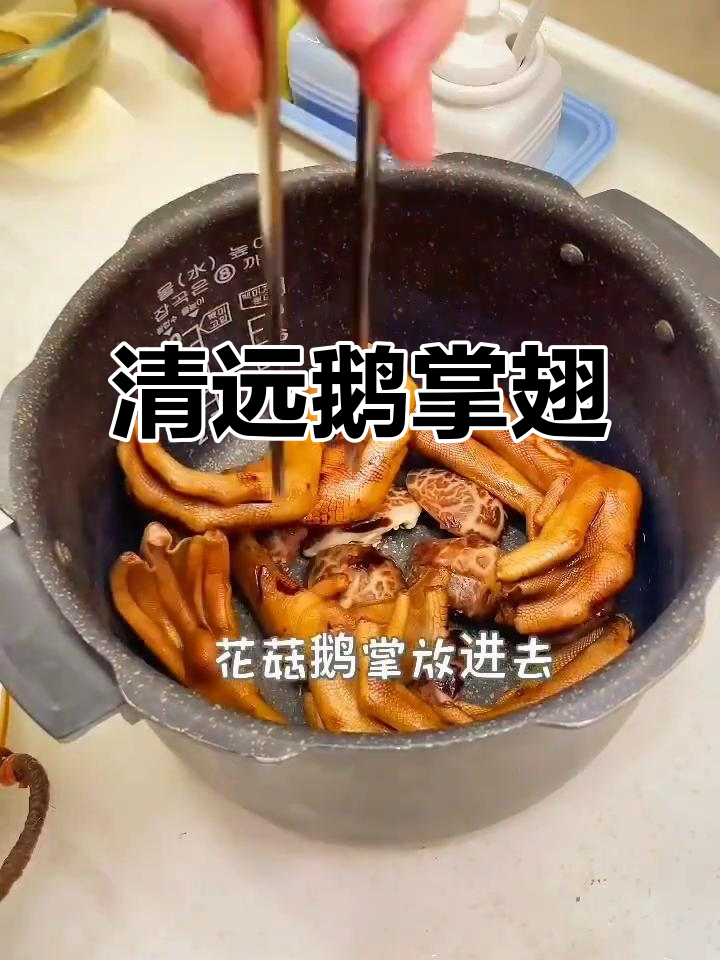清远黑棕鹅掌翅，生鲜配送必试美味