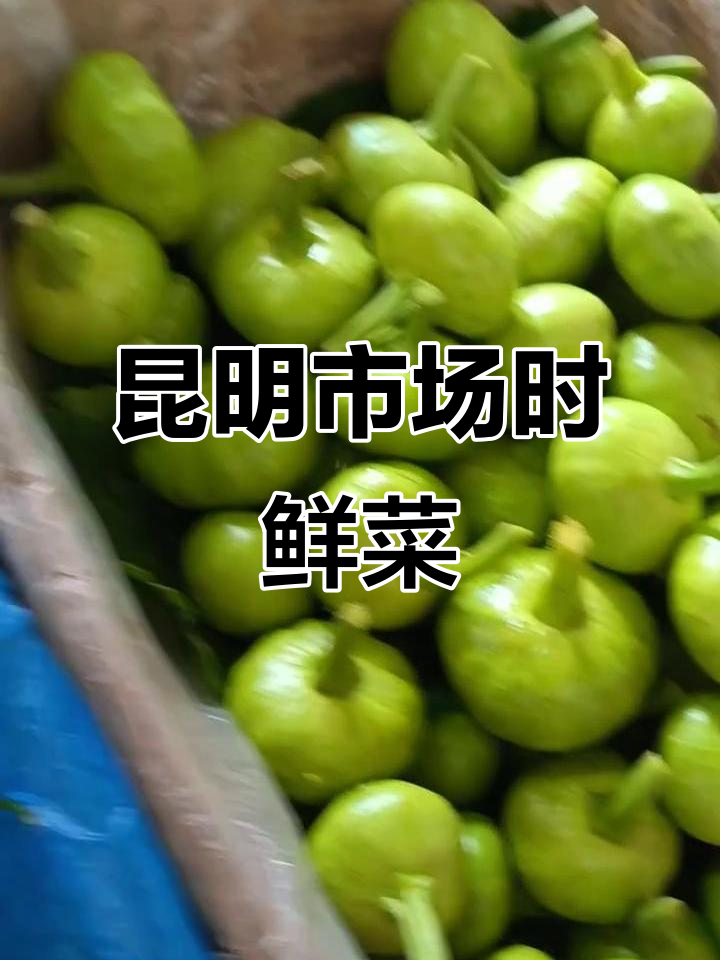 昆明复兴农贸市场新鲜蔬菜大揭秘