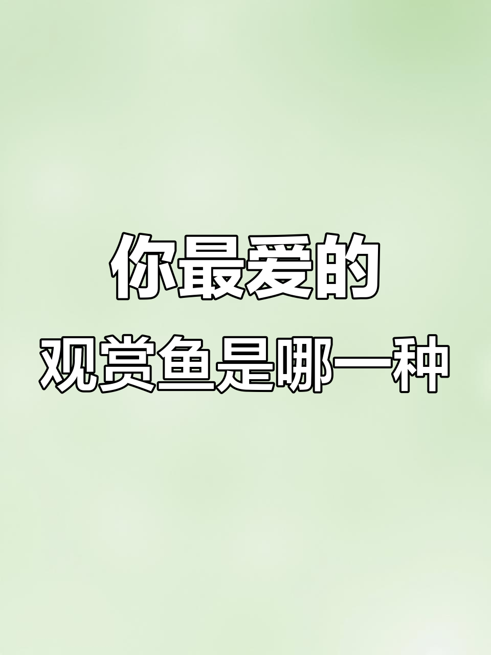 14种观赏鱼大揭秘，哪种最适合你？
