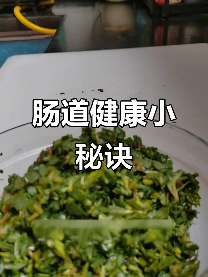 马齿苋不用焯水,便秘克星!