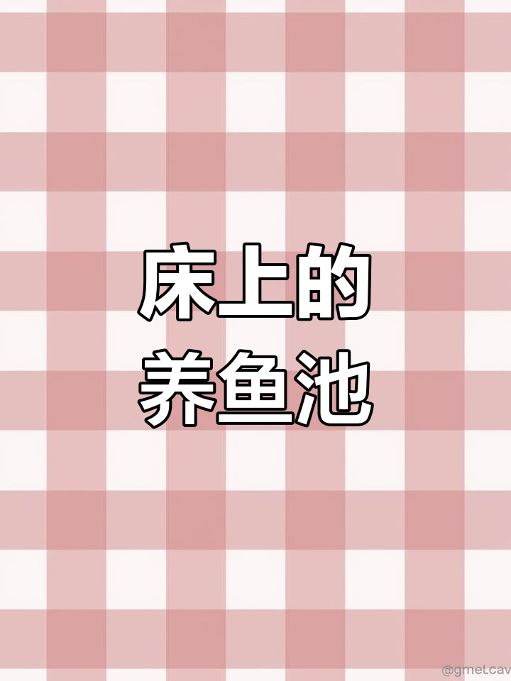 床上鱼缸大变身,黑鱼捕食泥鳅白莲争抢饲料