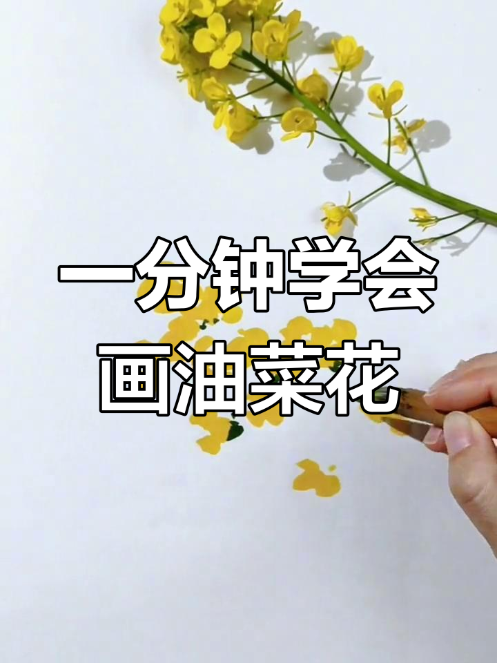 轻松学画油菜花,掌握国画技巧