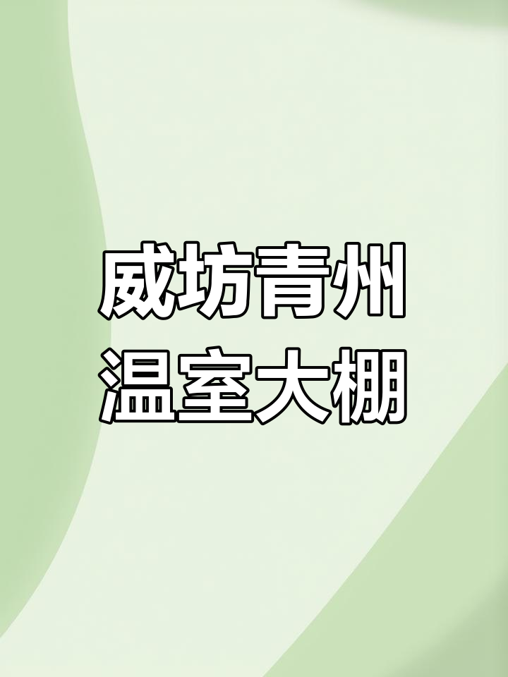 山东威坊青州冬暖大棚种植模式