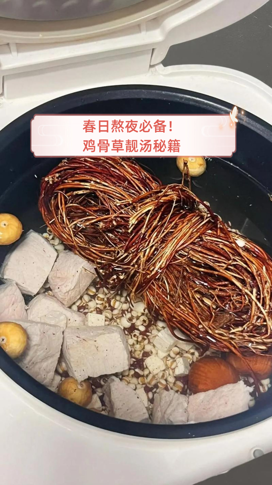 春日熬夜必备！鸡骨草靓汤秘籍