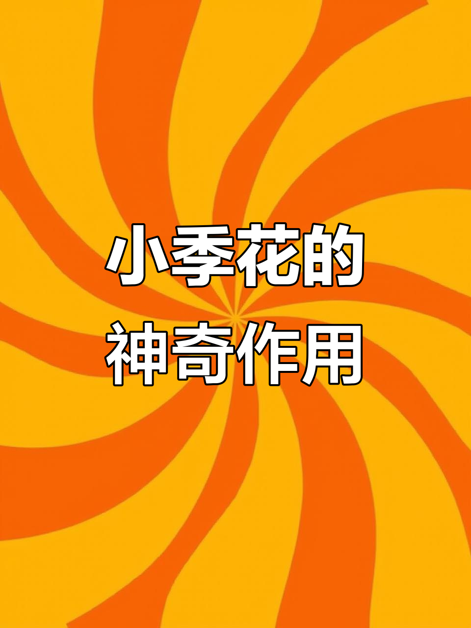 小蓟花泡水喝,春季嫩苗也能当菜吃