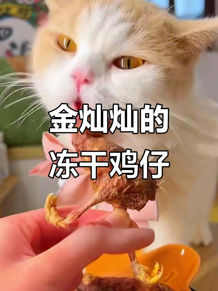 冻干小鸡仔,猫狗都爱不释口,营养美味又洁齿