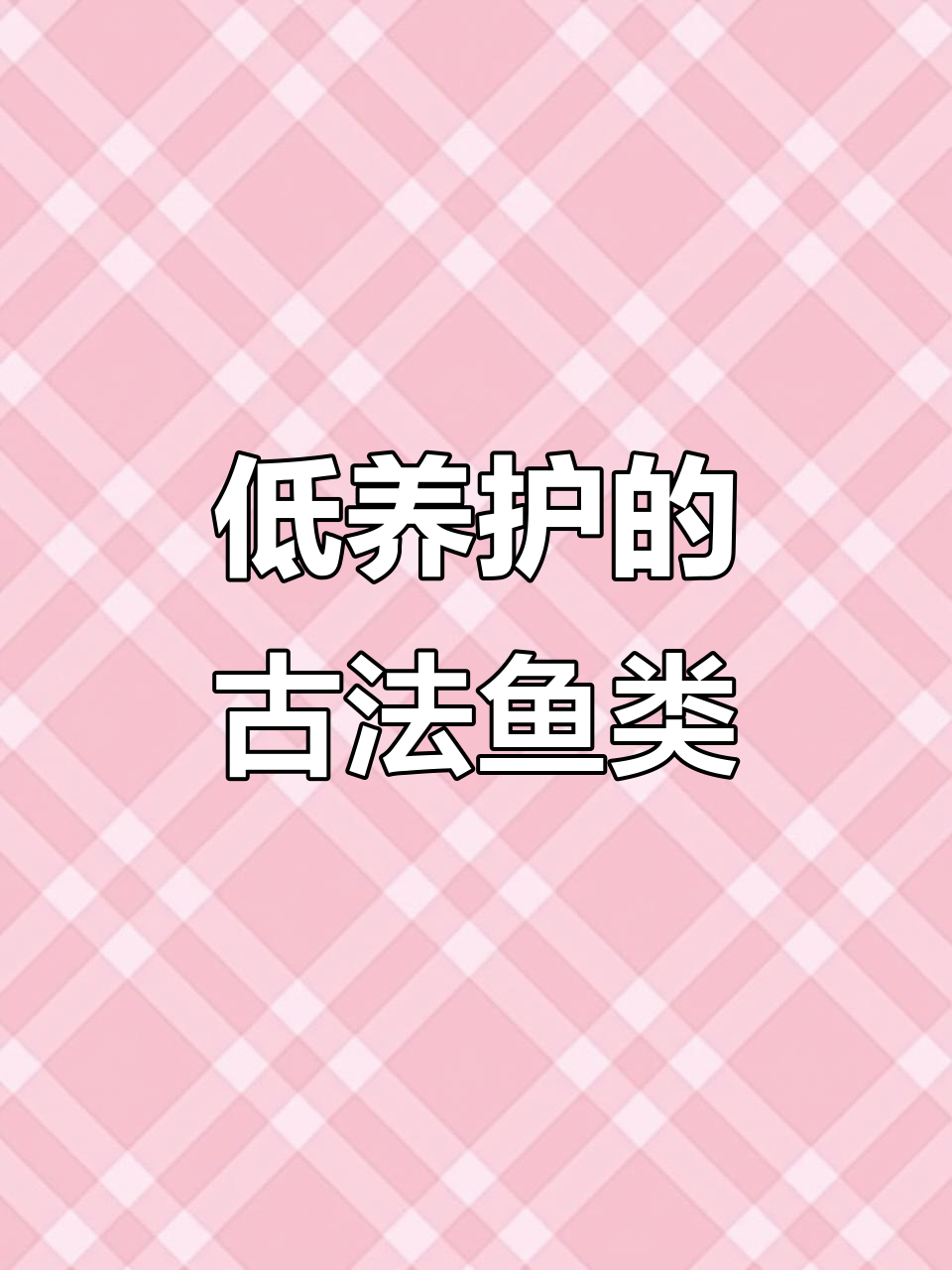 古法生态缸适合养的两种鱼,低耗养又好照顾