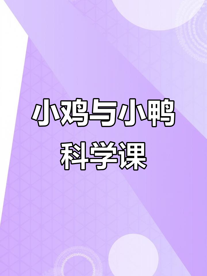 小鸡和小鸭的科学探索,幼儿园小班趣味教学