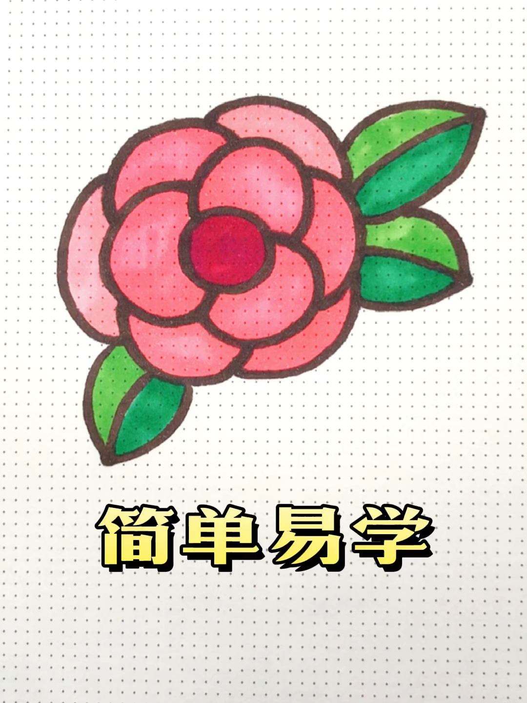 简笔画|山茶花怎么画