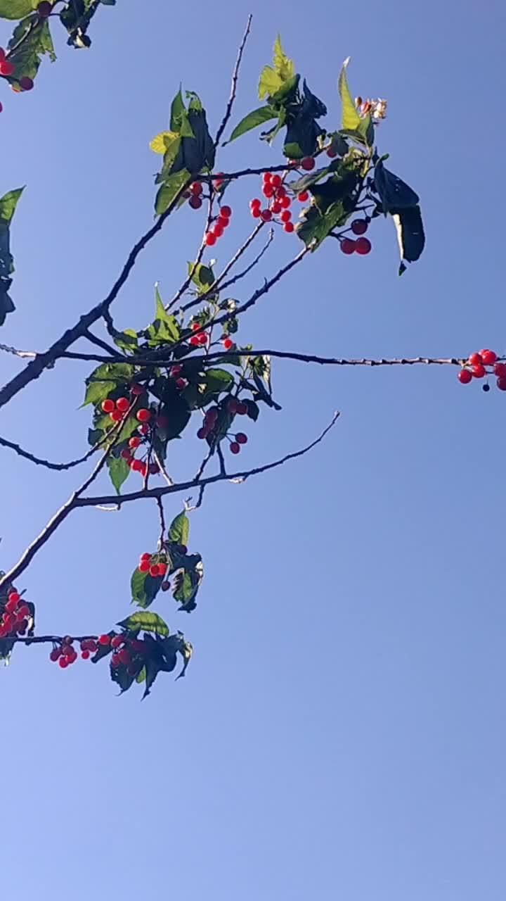 这个世界运气是守恒的,你现在所受的痛苦和烦恼终归变成你喜欢的甜。好好努力,等时来运转,等峰