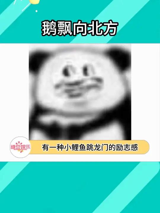 一只跑到澳洲的小企鹅 帝企鹅 企鹅 澳大利亚