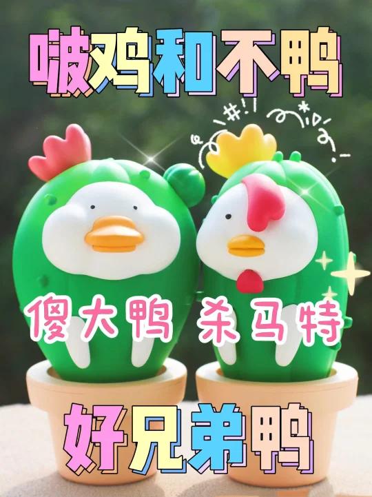 潮玩分享|啵鸡和不鸭～我们是好兄弟鸭!