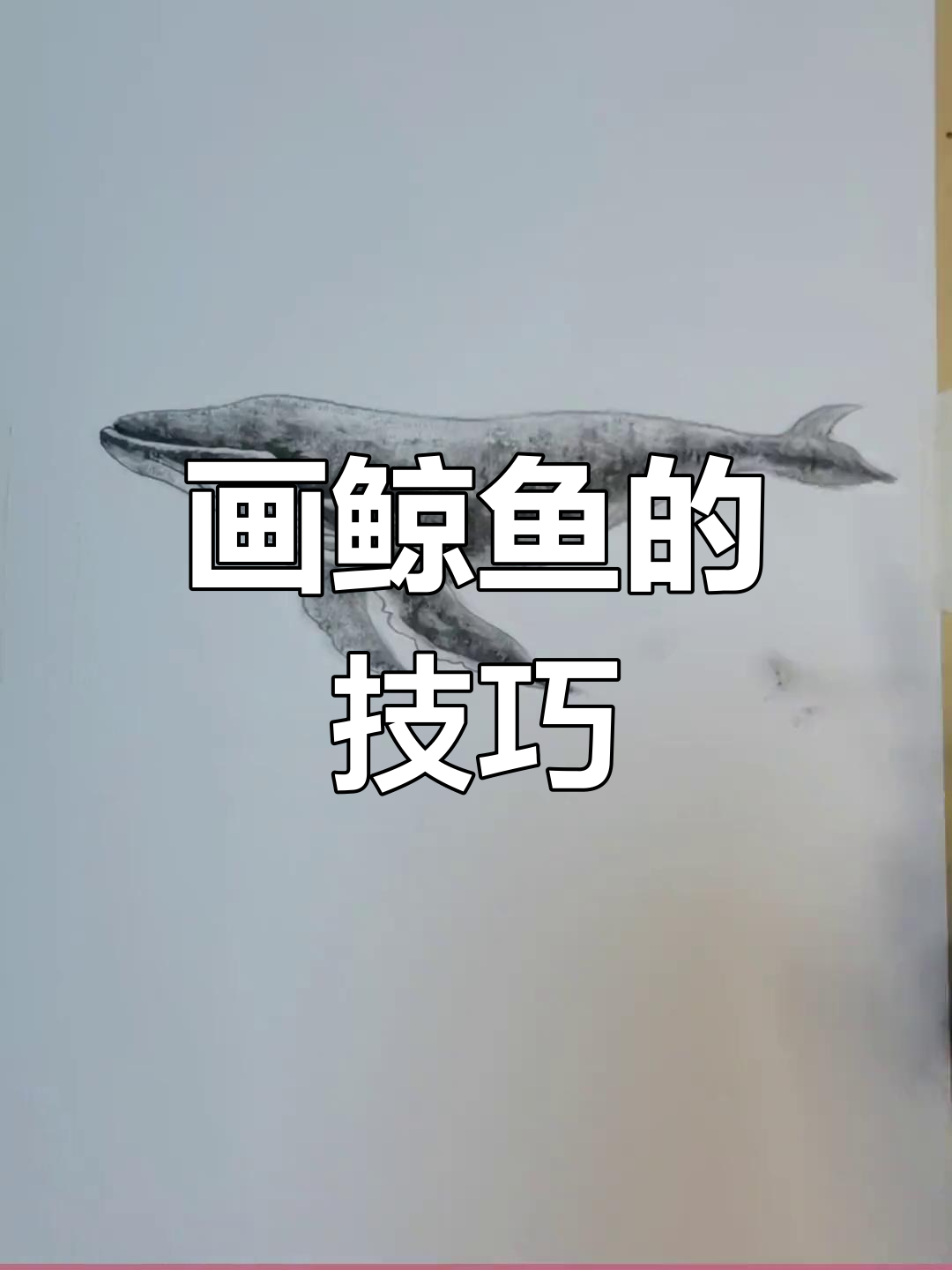 鲸鱼与藤壶的痛苦画面,激发了这幅素描创作