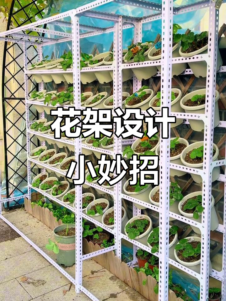 阳台、露台皆宜,采光充足,轻松改造角钢花架