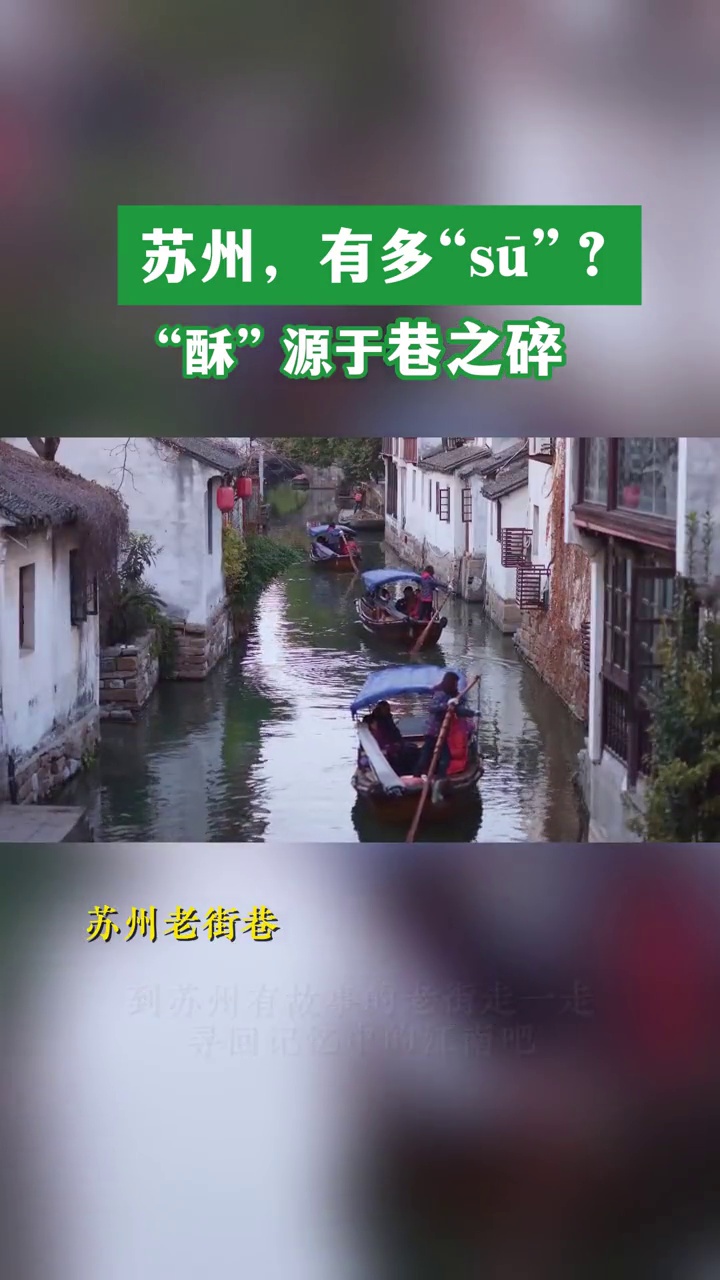 从糕点到鲜果,从戏曲到小巷,独一无二的苏式腔调,这个春节,在苏州过“酥”年!