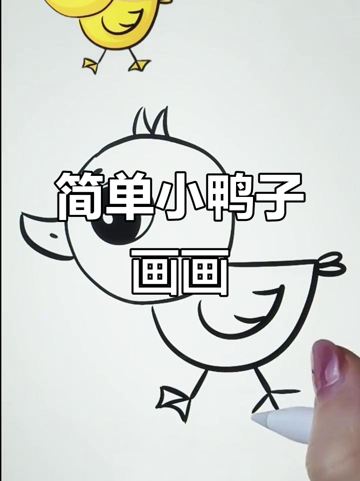 小鸭子简笔画教程,轻松学会画可爱小鸭