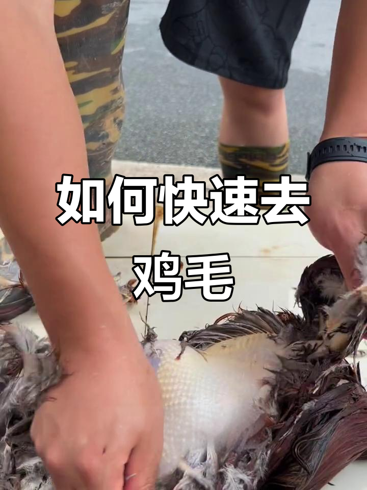 快速拔鸡毛的技巧,轻松搞定每根毛发