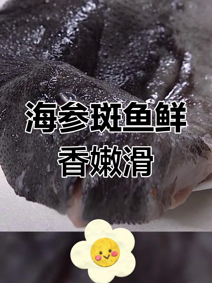 深海海参斑鱼,稀有美味尽享