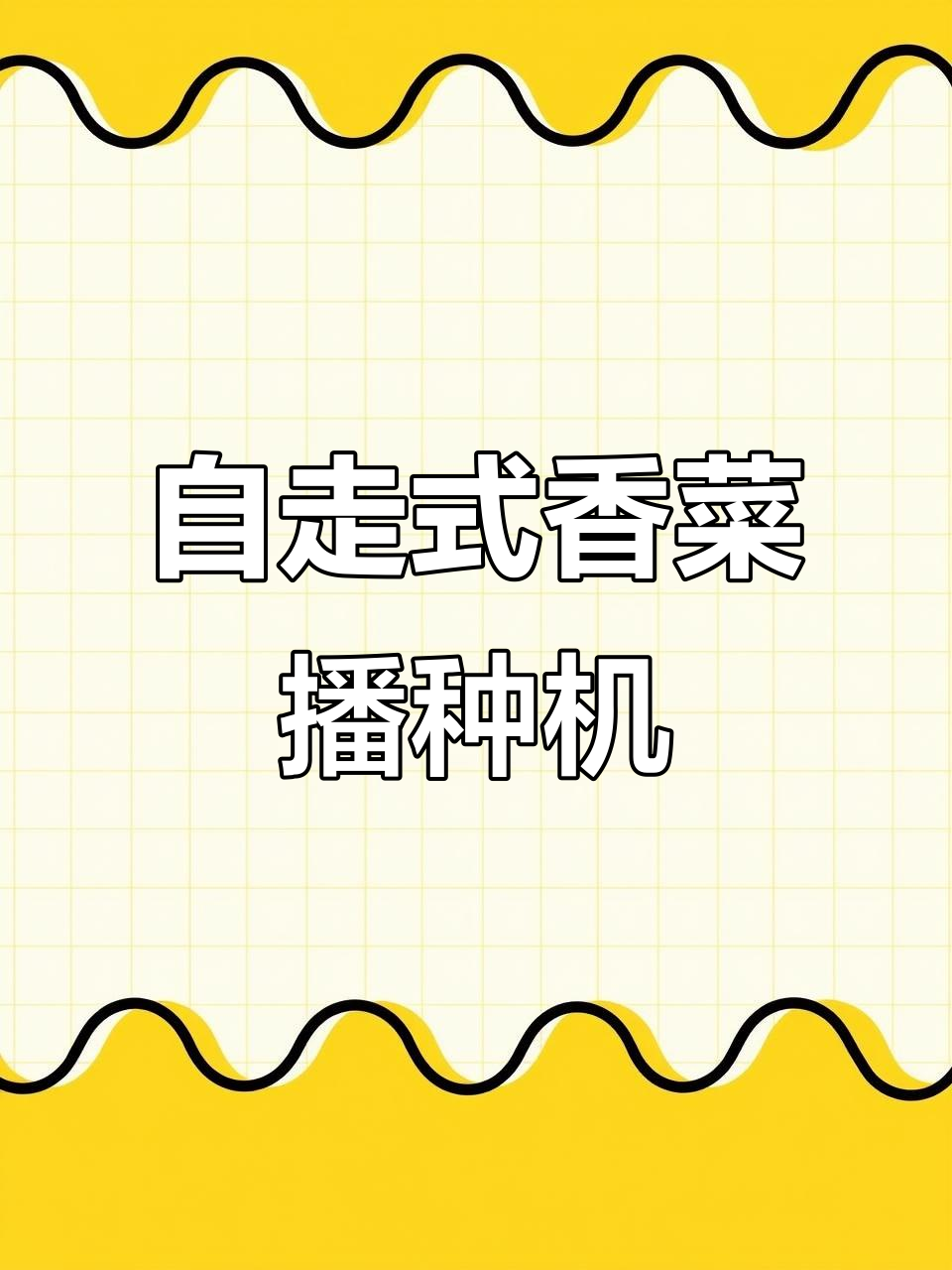 香菜播种机解决缺苗问题,精准高效免间苗
