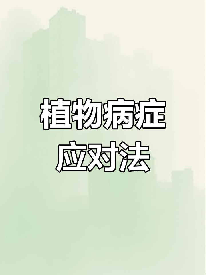 多肉生病,虫子用杀虫剂,菌病则需多菌灵