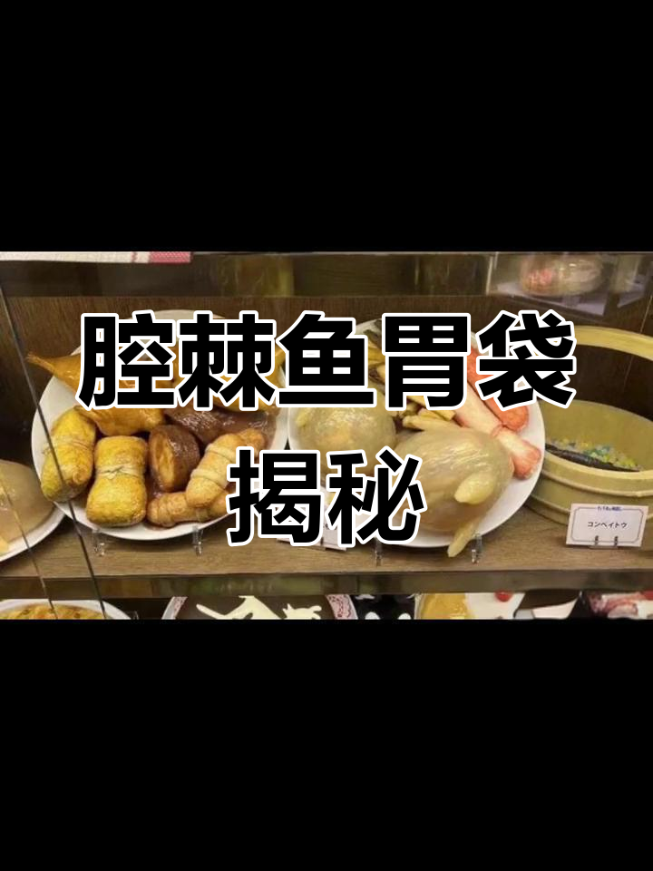 腔棘鱼的胃袋,竟然这么神奇!