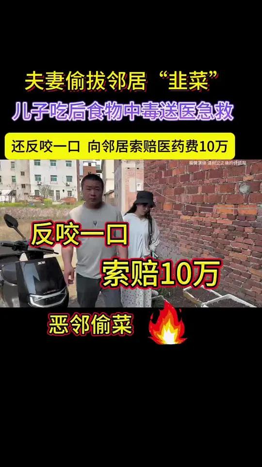 夫妻偷邻居的菜，误把洋水仙当韭菜给自己儿子吃后食物中毒送医急救，却反咬一口，向邻居索赔10