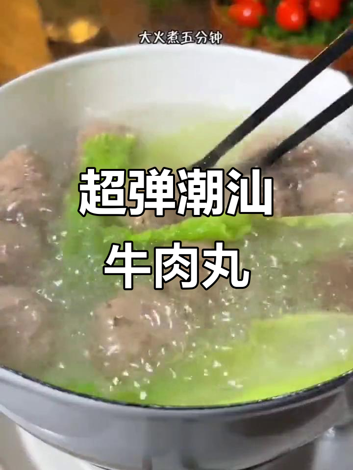 潮汕手工牛肉丸,火锅麻辣烫必备美味