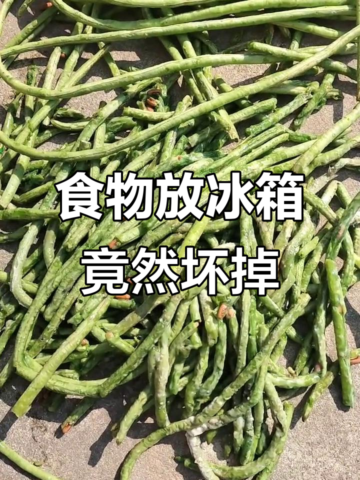 冰箱里的菜坏了,浪费真让人心疼