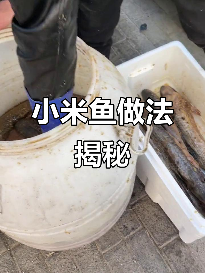 专业师傅教你做美味小米鱼,口感鲜美让人怀念
