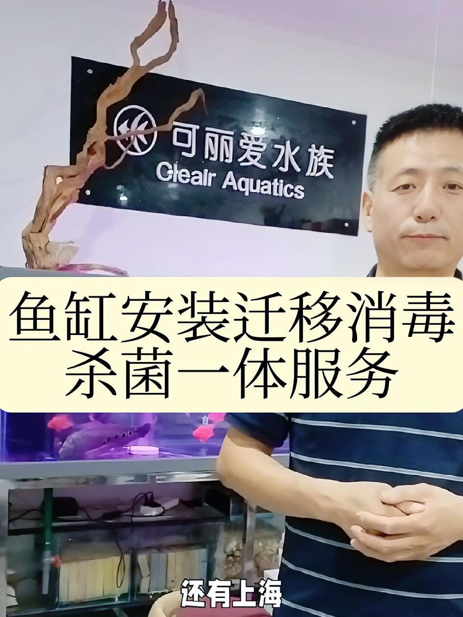 鱼缸安装迁移消毒杀菌服务 养鱼日记 每日分享 鱼闻天下