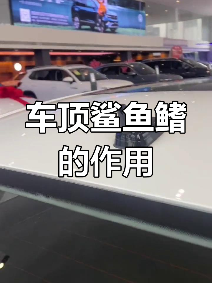 鲨鱼鳍的隐藏作用,让你的车更省油