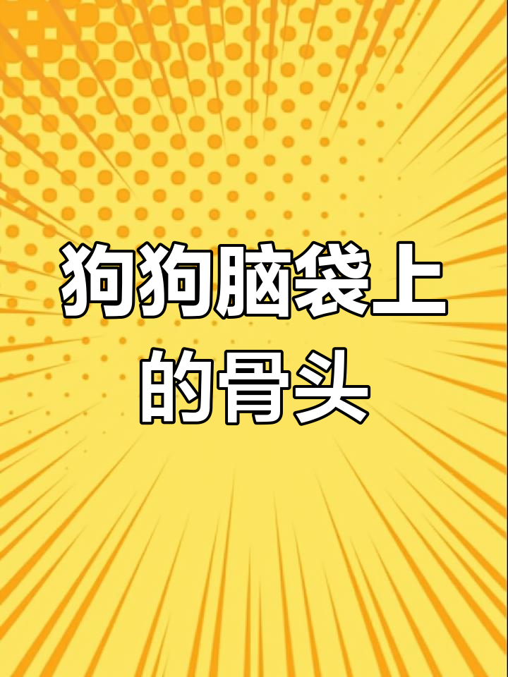菠萝包与奶黄包的头部肿块之谜