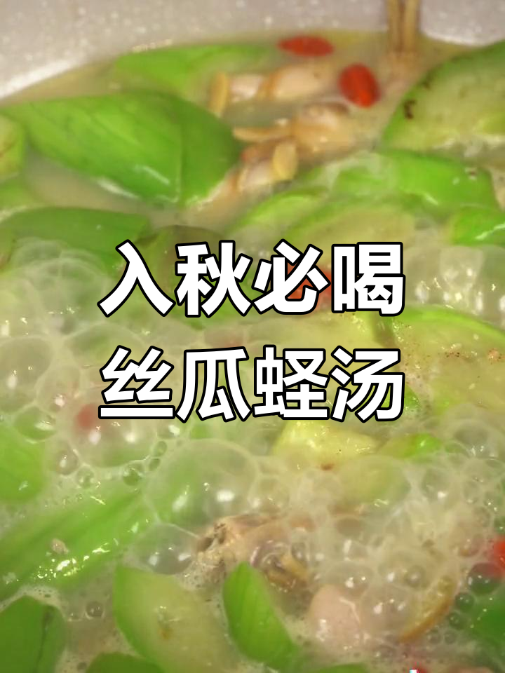 秋季养生必备丝瓜蛏汤,鲜甜滋润暖心又养身