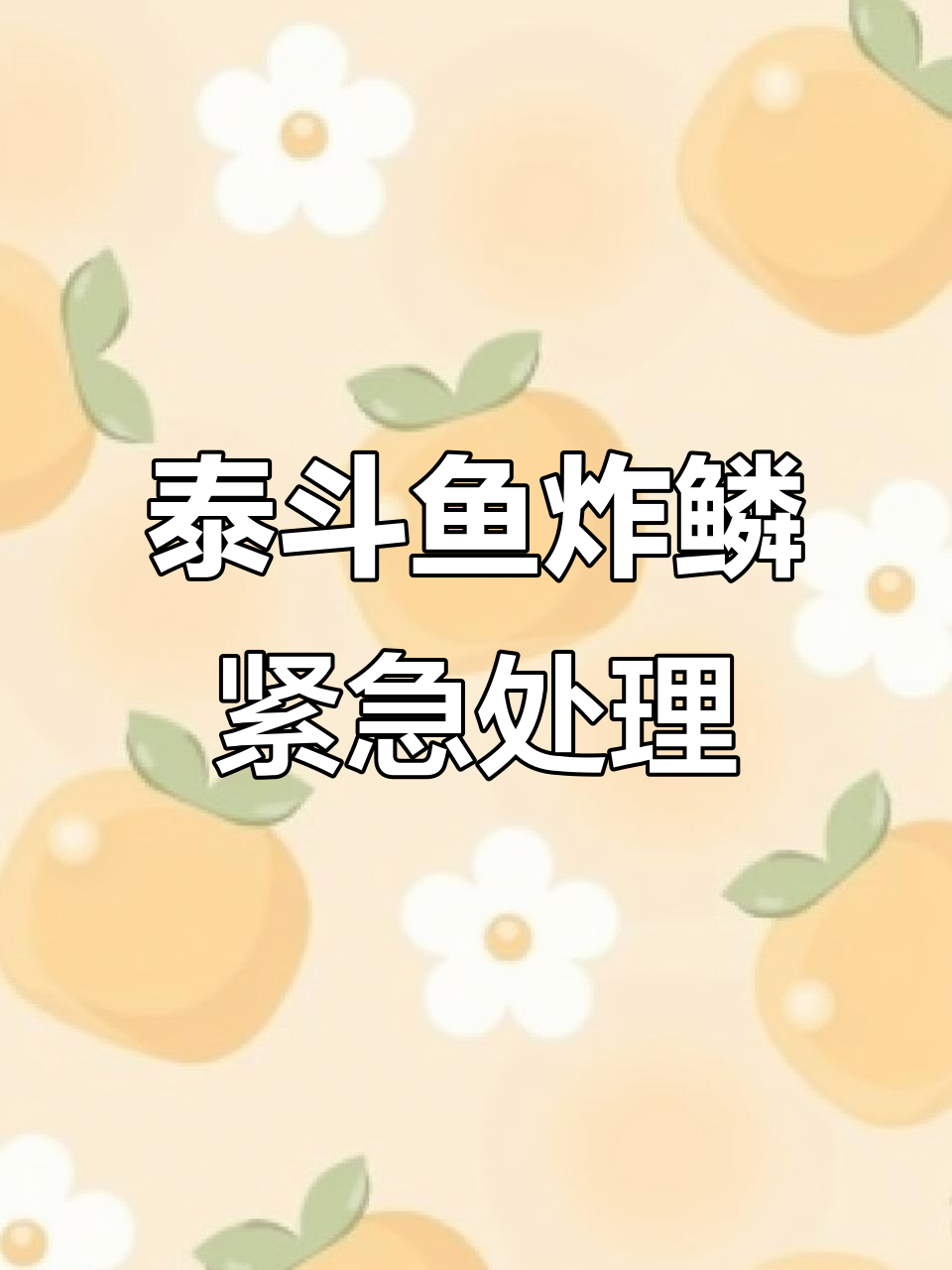 泰国斗鱼炸鳞急救:盐、氟囊唑酮与土霉素的配合治疗
