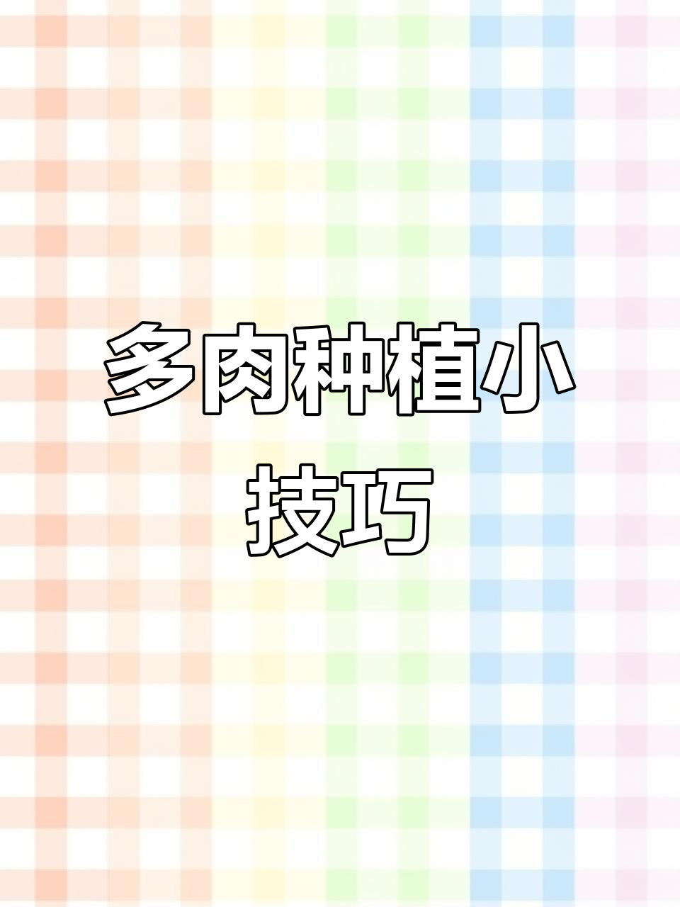 莲花多肉养护技巧:从修根到上盆全攻略