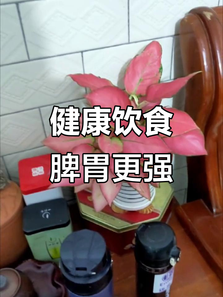 绿色食品,健脾和胃,生活更健康