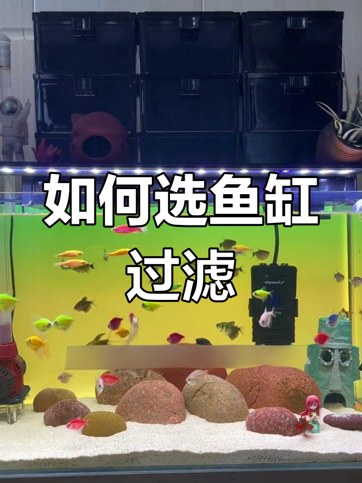 鱼缸过滤器选择指南:滴流盒适用于中小型鱼缸