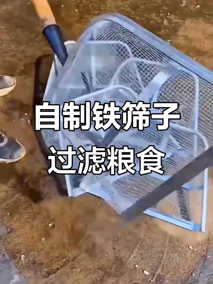 农村小哥自制铁筛子,轻松筛选玉米、花生和板栗