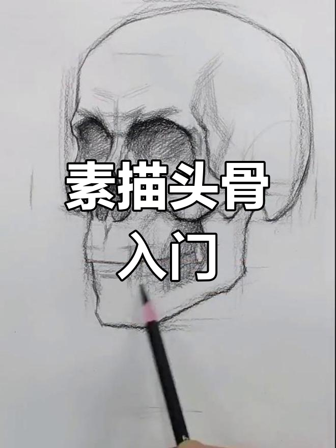 素描头骨技巧解析,轻松掌握头部结构