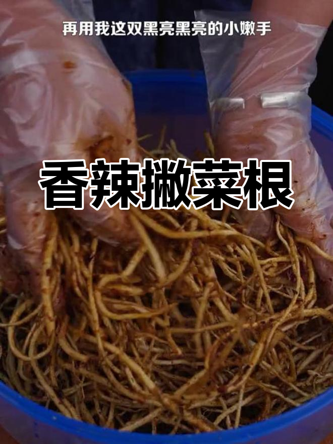 香辣撇菜根,开胃又下饭