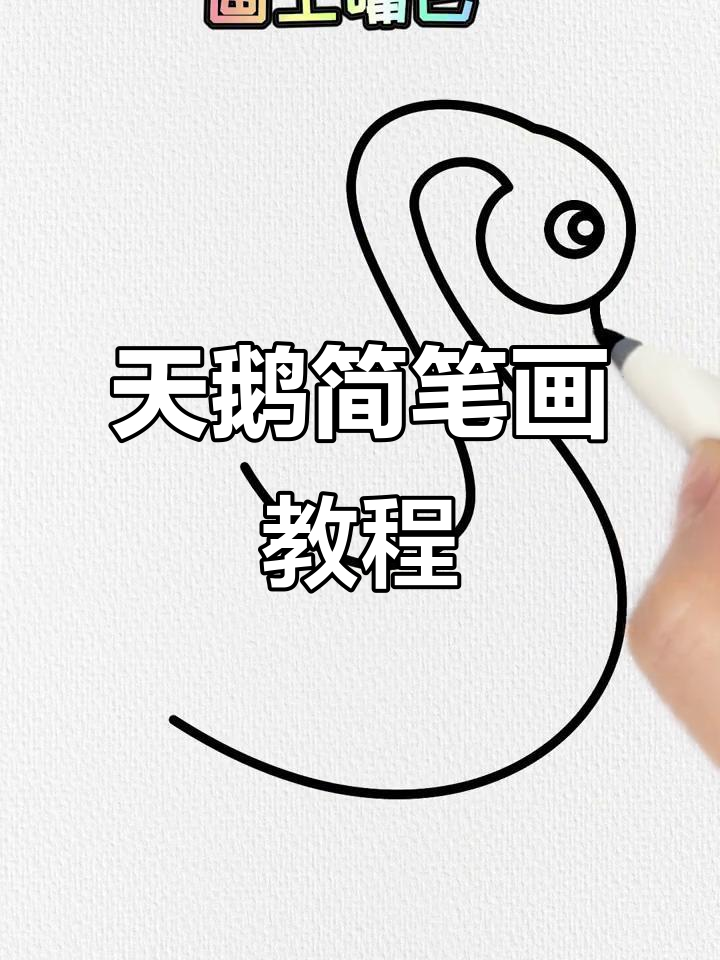 轻松学画可爱天鹅,步骤简单有趣