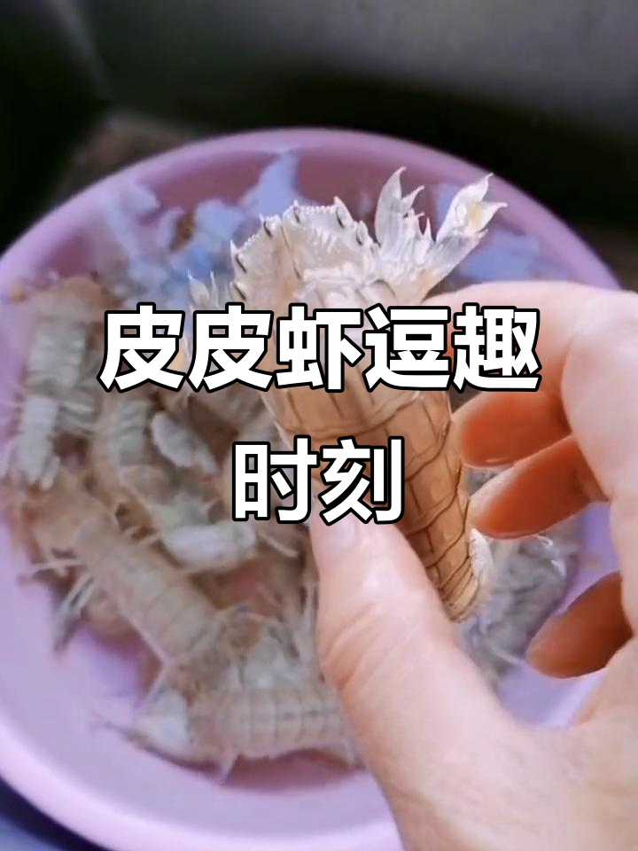 皮皮虾搞笑直播，老板也忍不住笑出声