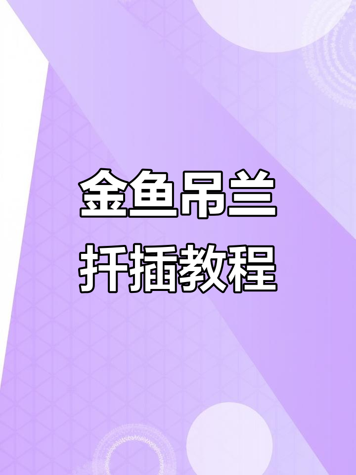 金鱼吊兰扦插技巧，轻松学会繁殖方法